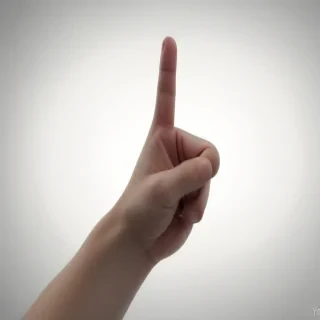 you finger point