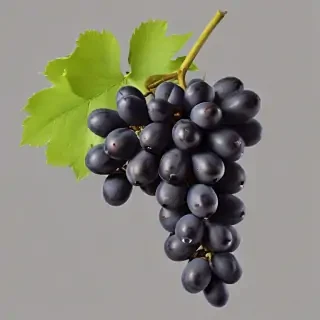 grape png
