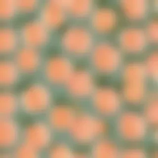 peach wallpaper aesthetic