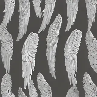 angel wing pictures