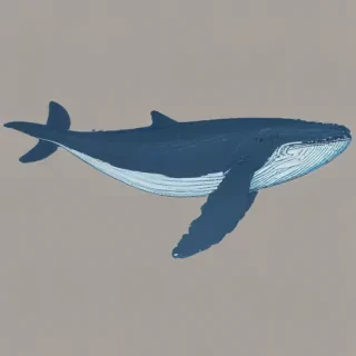blue whale png
