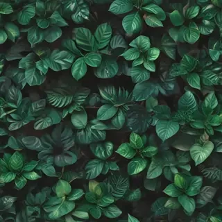 plant wallpaper iphone