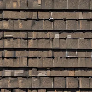 picture of shingles