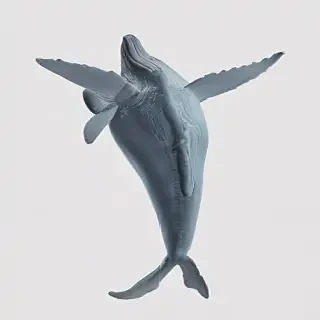blue whale png