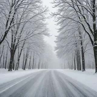 winter zoom background