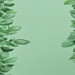 mint green bg