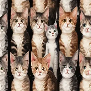 background wallpaper cats