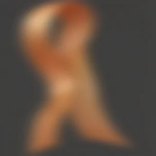 ribbon clipart png