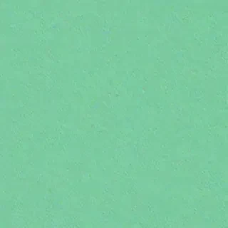 mint green background