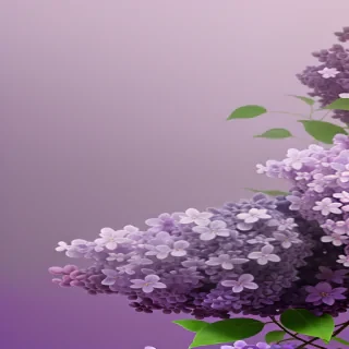 lilac background wallpaper