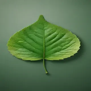 green leaf design