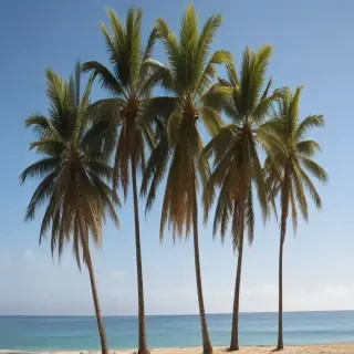 transparent palm trees