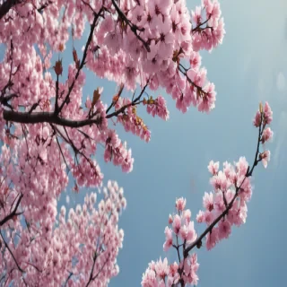 spring wallpaper phone