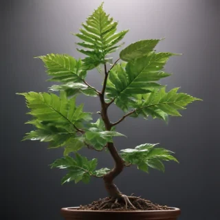 plant transparent
