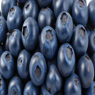 blueberry png