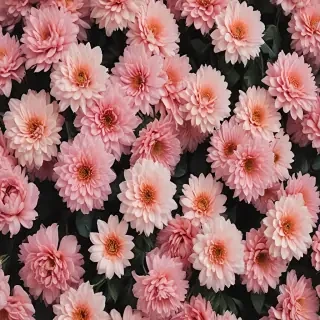 wallpaper aesthetic flowers