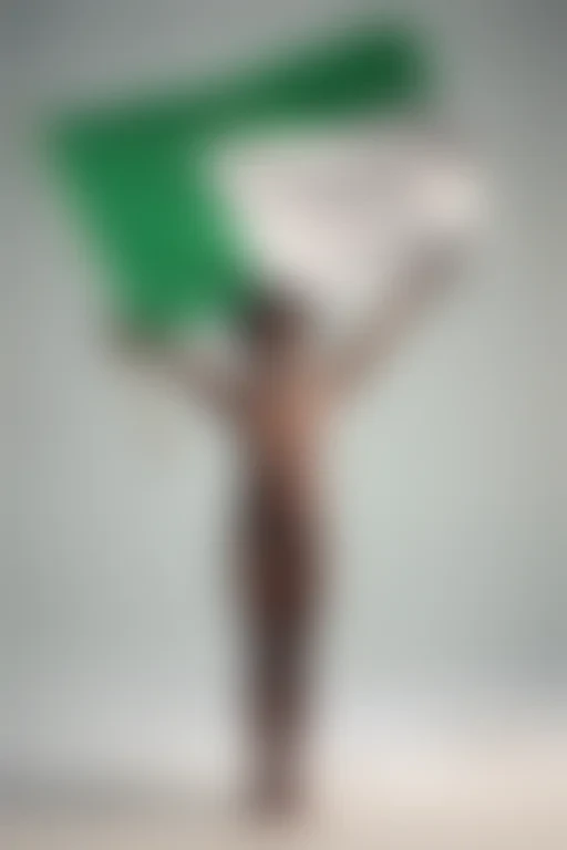 nigeria flag png