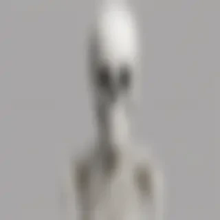 skeleton transparent background