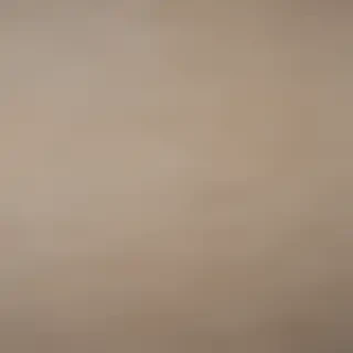 canvas texture overlay