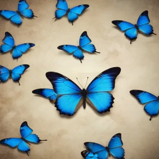blue butterfly background