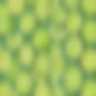 lime green background