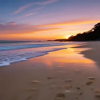 beach background sunset