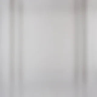 background white wall