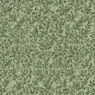 aesthetic sage green
