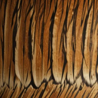 tiger stripes png
