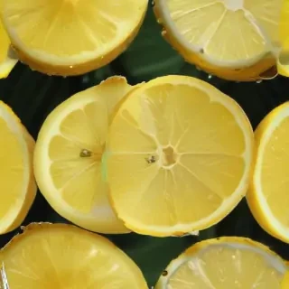 lemon transparent