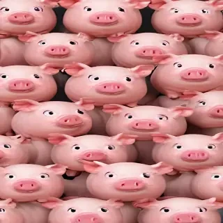 piggy background