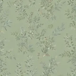 sage green bg