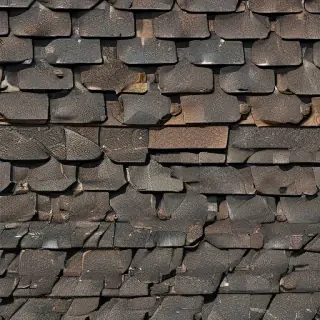 pictures of shingles