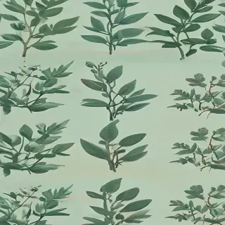 sage aesthetic wallpaper