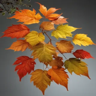 leaves no background