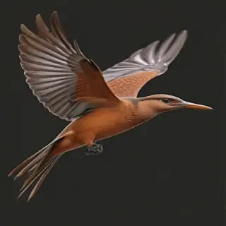 bird flying png