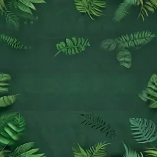 green backgrounds aesthetic