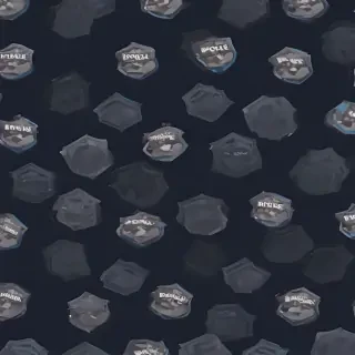 police backgrounds
