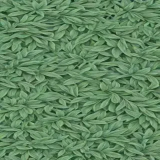 sage green wallpaper aesthetic