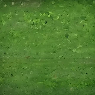 green textures