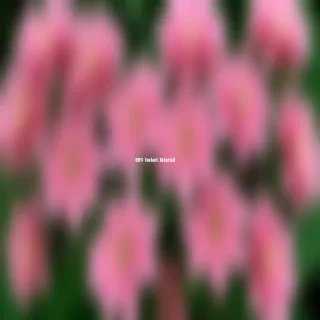 pink flowers png