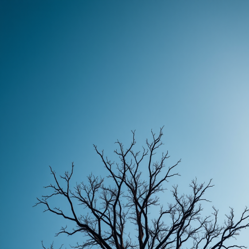 a minimalist black silhouette of a tree in a clear blue sky, 50mm lens, f/2.8 aperture, ISO 100, golden hour lighting, taken with a DSLR camera, overhead view