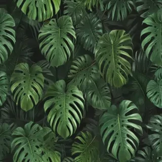 aesthetic monstera wallpaper