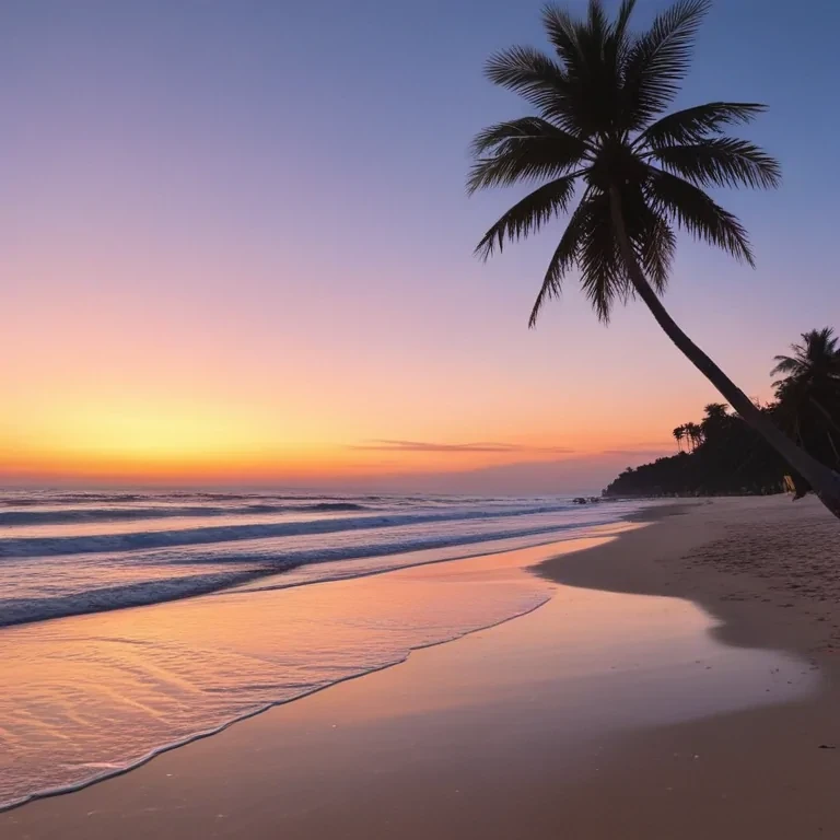 aesthetic beach pictures
