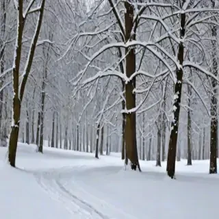 snow pngs