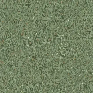 aesthetic sage green