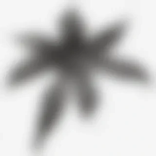 clipart of leaf black and white