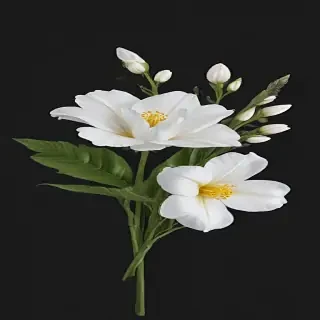 white flower png