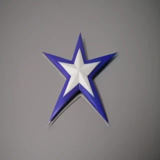 ninja star