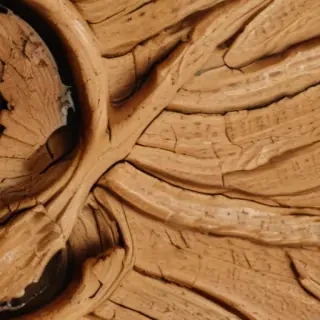 oak texture